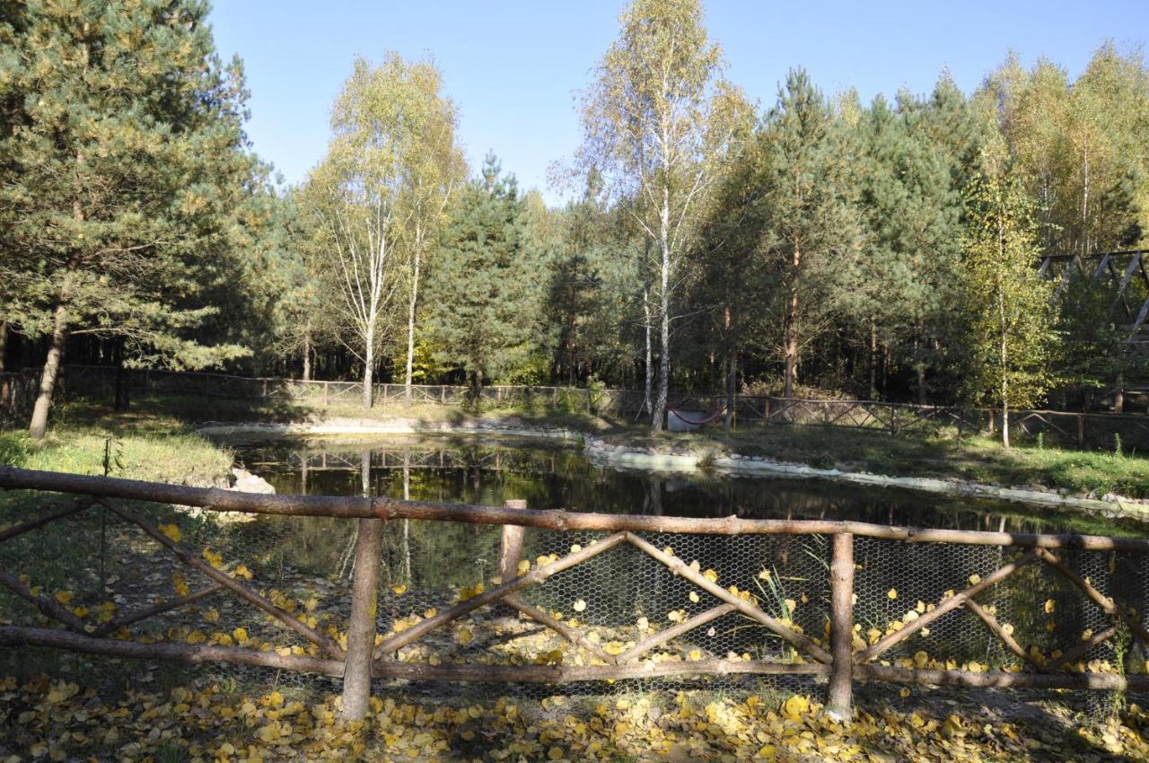 Lesna Polana Villa Старе Яблонки Екстериор снимка